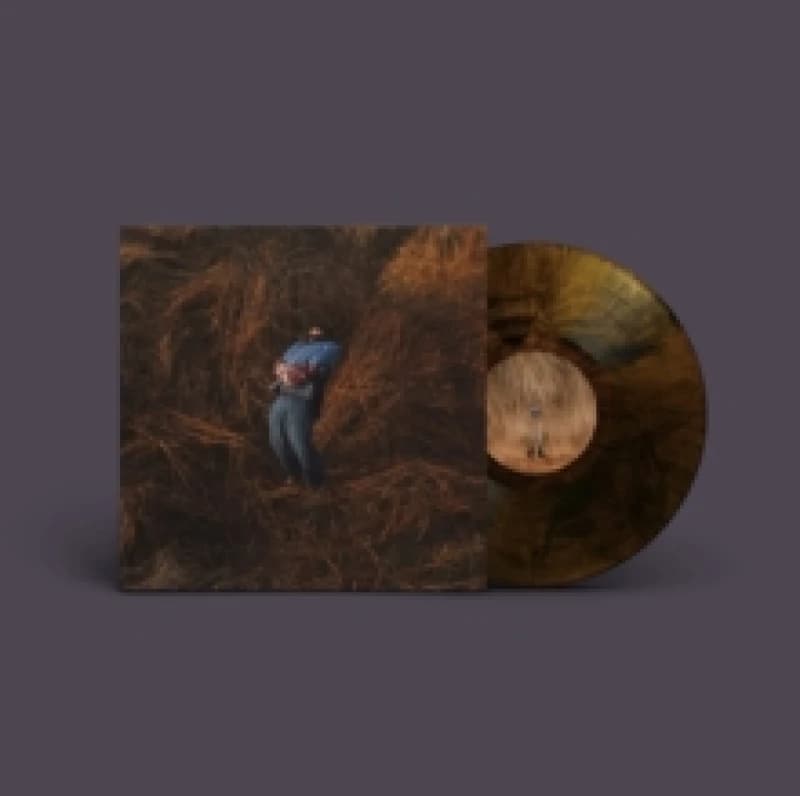 Image of Pillars Vinyl