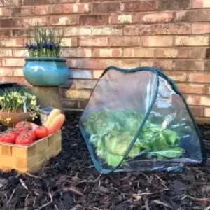 Image of Gardenskill - Pop-Up Poly Cloche & Mini Greenhouse - 1.25m long x 0.5m wide x 0.5m high