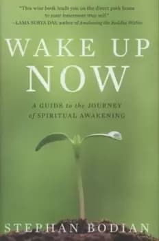 Image of Wake up now by Stephan Bodian
