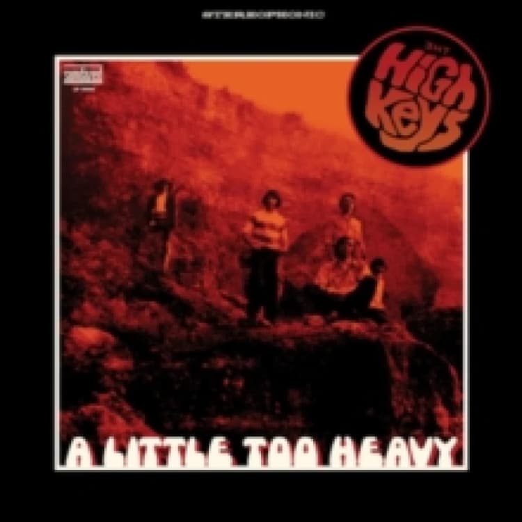 Image of A Little Too Heavy Vinyl