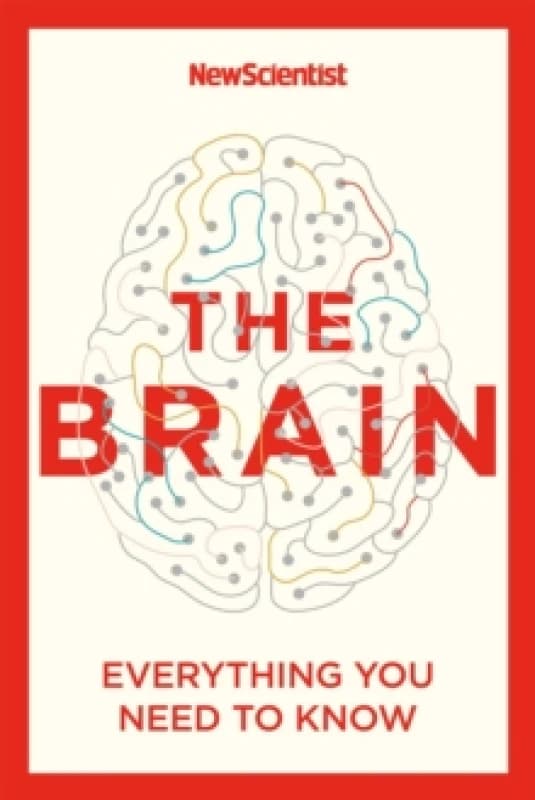 Image of brain everything you need to know 9781529363319