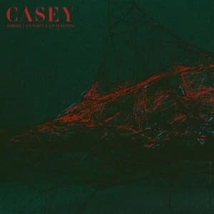 Image of Where I Go When I Am Sleeping by Casey CD Album