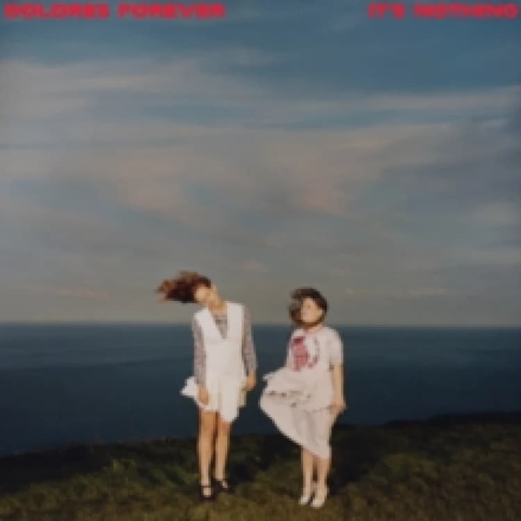Image of It's Nothing Vinyl