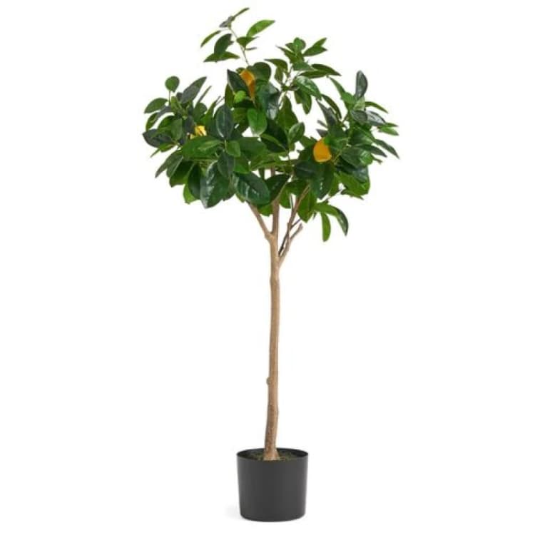 Image of Leaf Large Lemon Tree Artificial 120cm Premium Plant Green