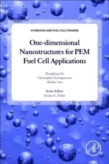 Image of One-dimensional Nanostructures for PEM Fuel Cell Applications