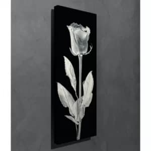 Image of PC161 Multicolor Decorative Canvas Painting