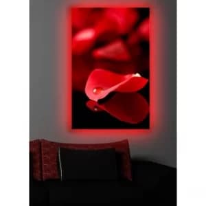 Image of 4570DACT-9 Multicolor Decorative LED Lighted Canvas Painting