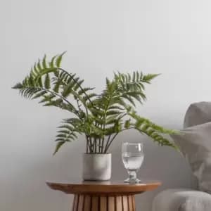 Image of Gallery Interiors Kambiz Potted Fern in Cement Faux Plant Cream And Green / Large