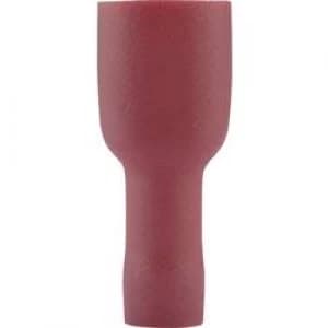 Image of Blade receptacle Connector width 4.8mm Connector thickness 0.8 mm