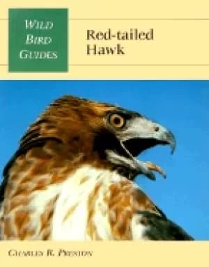 Image of wild bird guide red tailed hawk