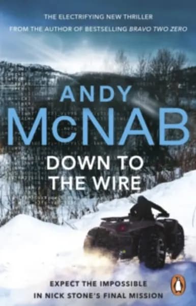 Image of down to the wire 9780552174299