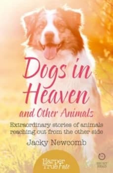 Image of Dogs in heaven and other animals by Jacky Newcomb