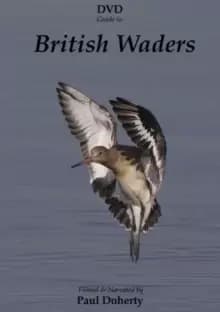 Image of British Waders