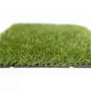 Image of Nomow Seasons Meadow Grass 4M Wide X 7M Long