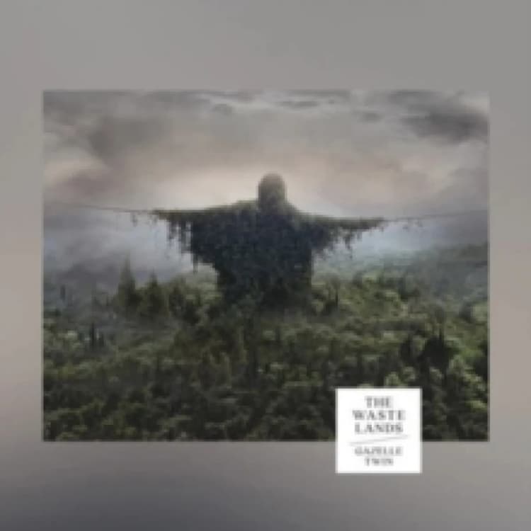 Image of The Wastelands Vinyl