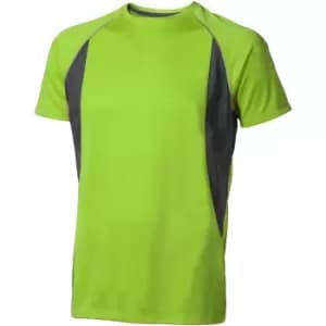 Image of Elevate Mens Quebec Short Sleeve T-Shirt (XL) (Apple Green/Anthracite)