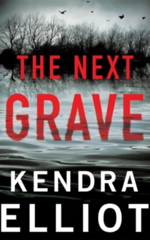 Image of The Next Grave Paperback / softback