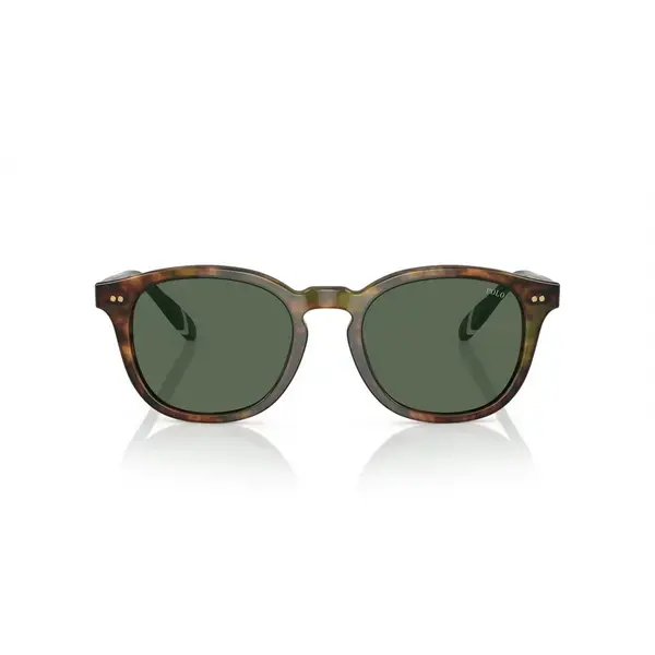 Image of Polo Ralph Lauren PH 4206 (501771) Sunglasses