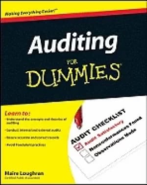 Image of auditing for dummies