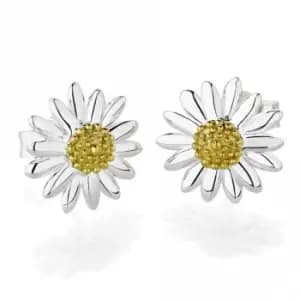 Image of Bellis Daisy Stud 10mm Earrings E2005