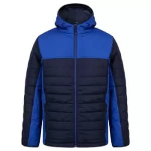 Image of Finden & Hales Mens Contrast Padded Jacket (XXL) (Navy/Royal Blue)
