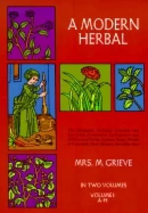 Image of modern herbal the medicinal culinary cosmetic and economic properties culti