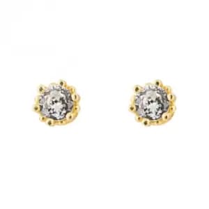 Image of Gold Plated Zirconia Stud Earrings E6272C