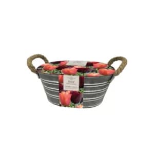 Image of Outdoor Metal Tulip Planter