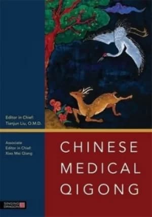 Image of Chinese medical qigong by Tianjun Liu