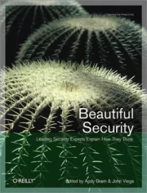 Image of Beautiful security by Andrew Oram