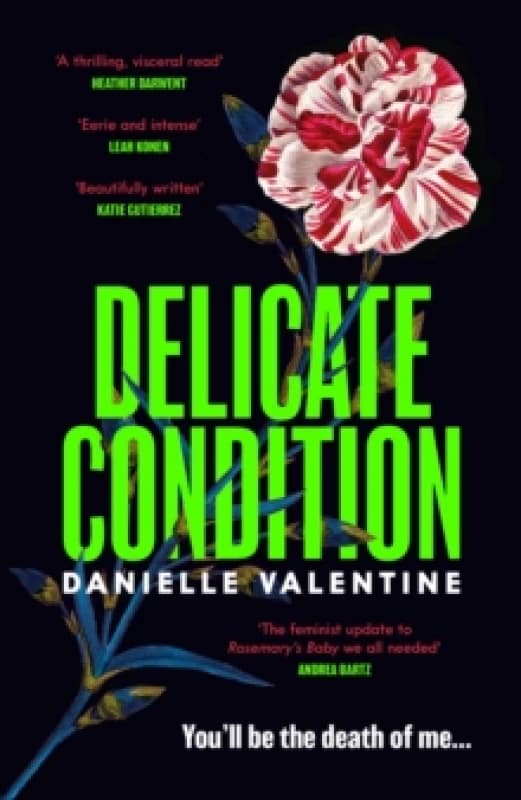Image of Delicate Condition Hardback
