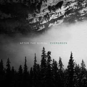 Image of Evergreen by After The Burial CD Album