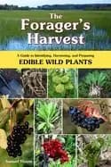 Image of foragers harvest a guide to identifying harvesting and preparing edible wi