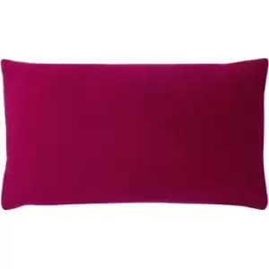 Image of Sunningdale Velvet Rectangular Cushion Cerise