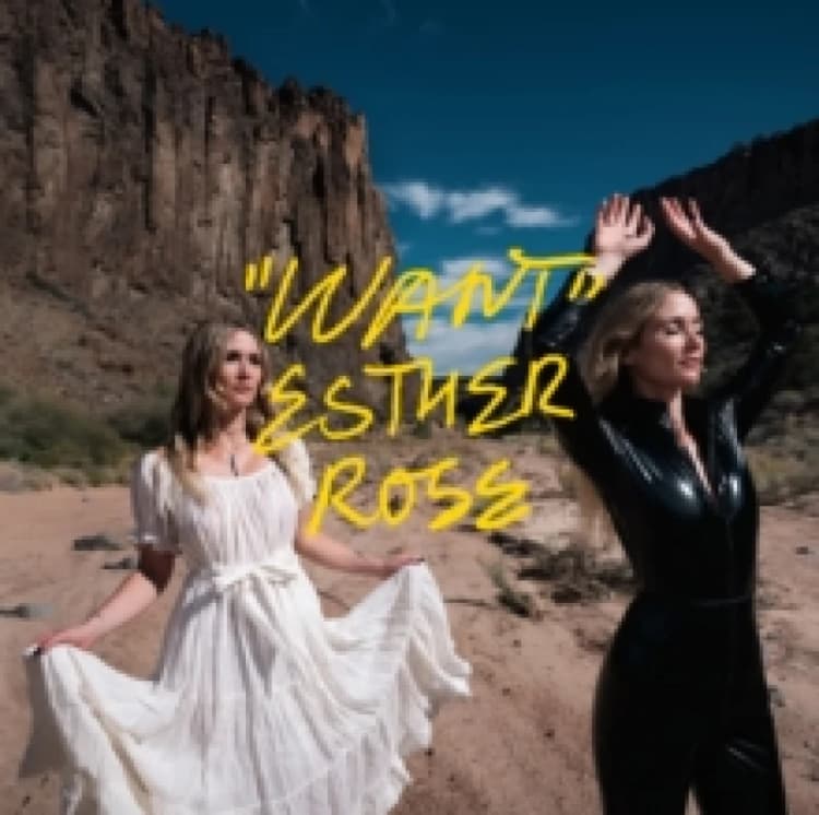 Image of Want CD / Album