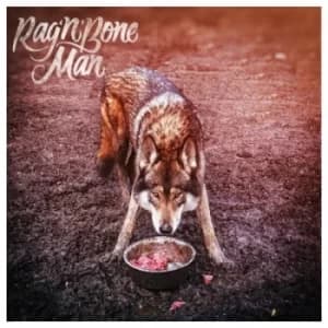 Image of Wolves by Rag'n'Bone Man Vinyl Album