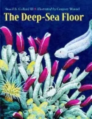 Image of deep sea floor