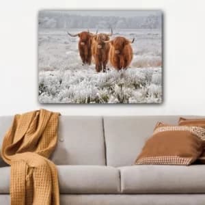Image of 1316677514_70100 Multicolor Decorative Canvas Painting