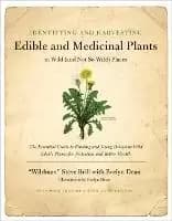 Image of Identifying and Harvesting Edible and Medicinal Plants by Steve Brill