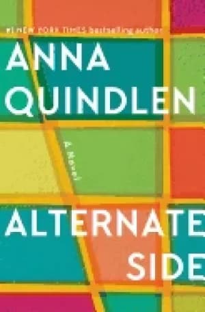 Image of alternate side a novel