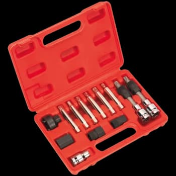 Image of Sealey 13 Piece Alternator Freewheel Removal Tool Kit