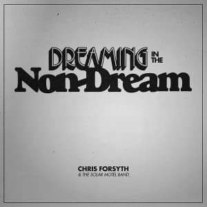 Image of Chris Forsyth - Dreaming In The Non-Dream Vinyl