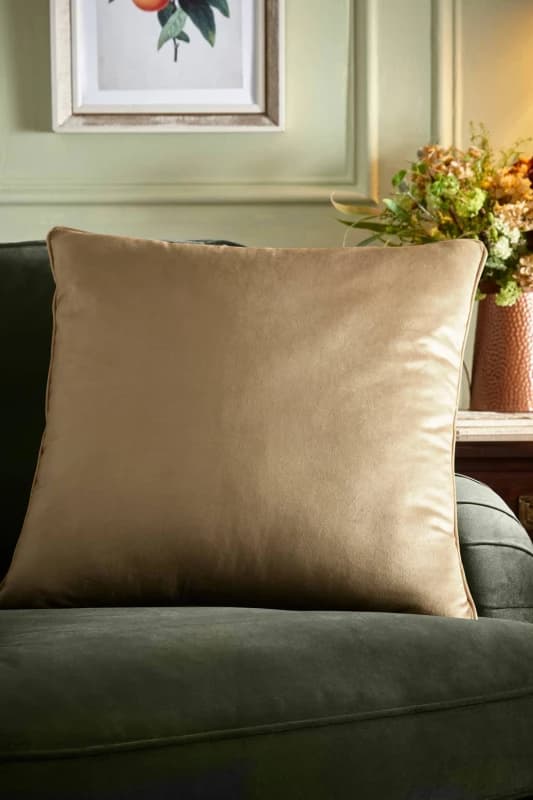 Image of Appletree Harlan Velvet Touch 55cm x 55cm Filled Cushion Taupe