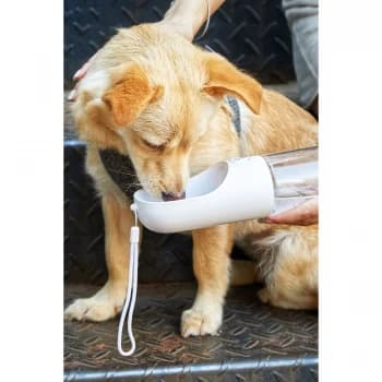 Image of PetKit Water Bottle