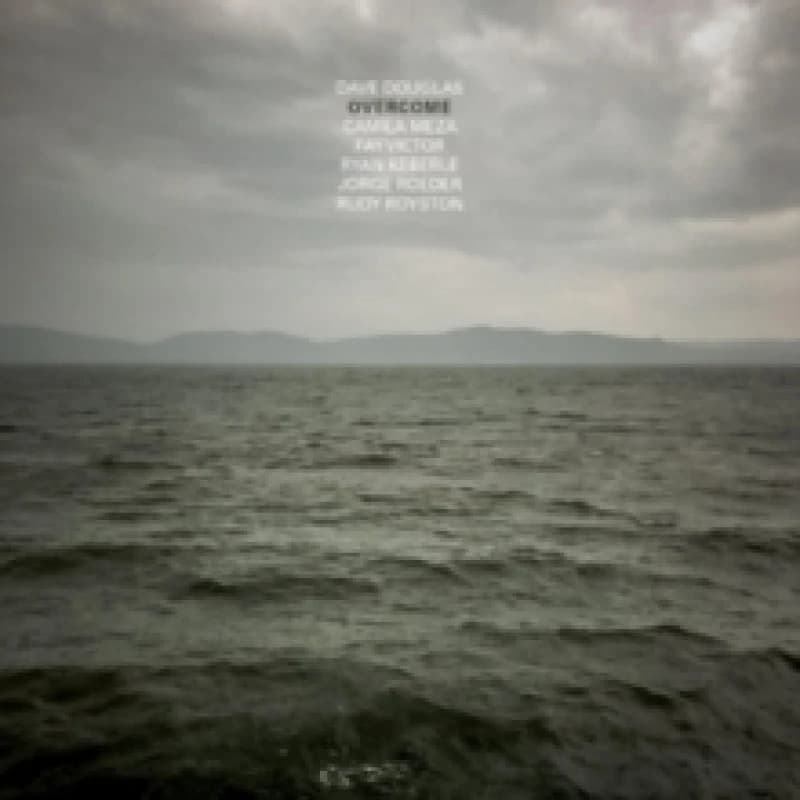 Image of Overcome Vinyl