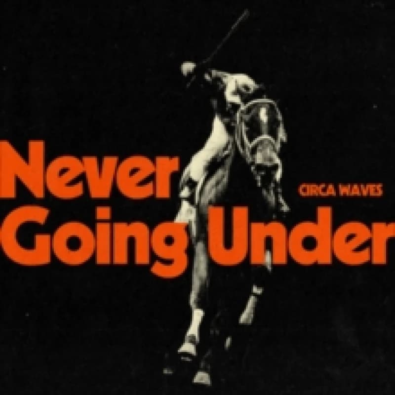 Image of Never Going Under Vinyl