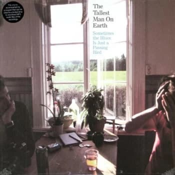 Image of Tallest Man On Earth - Sometimes The Blues Is Vinyl