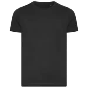Image of Ecologie Childrens/Kids Cascades Organic T-Shirt (12-13 Years) (Charcoal)
