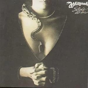 Image of Slide It In by Whitesnake CD Album