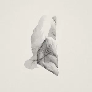 Image of Jabu - Sleep Heavy Vinyl